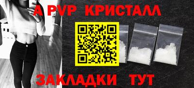 стаф Будённовск