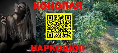стаф Будённовск
