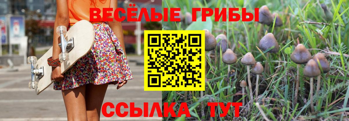 Волгоград  Псилоцибиновые грибы Psilocybine cubensis  Вход с VPN 